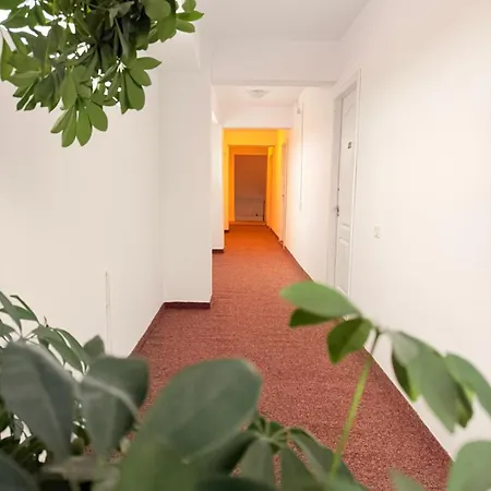 Bed & Breakfast Gymy Constanta